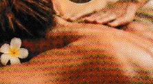 Massageausschnitt aus dem bereitgestellten Flyer